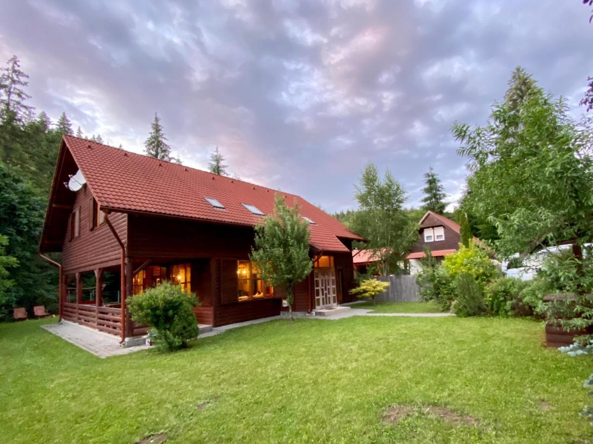 Platan Vendeghaz Villa Izvoare  Luaran gambar